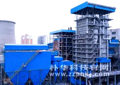 Biomass boiler dust collector